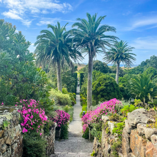 The Abbey Gardens on Tresco, Isles of Scilly